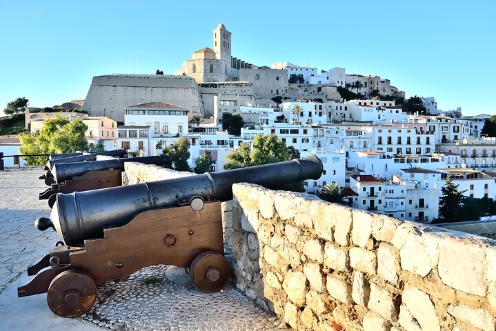 Full Day Private Shore Tour in Ibiza from Ibiza Cruise Port - Image 5