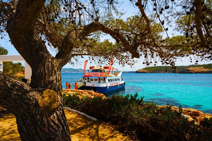 Ibiza Beach Hopping Cruise with Paddleboards, Drinks and Food. 6h - Image 5