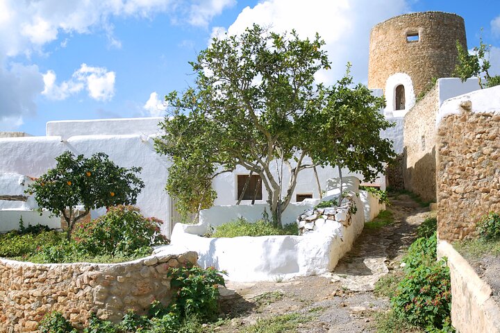 Secrets of Ibiza - Car tour in 8 hours - Image 5