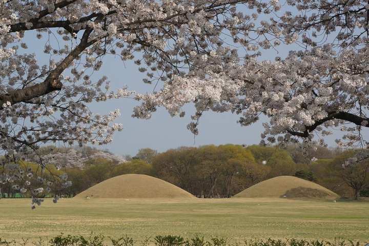 2 Days Gyeongju Private Tour from Seoul and Near Seoul - Image 2