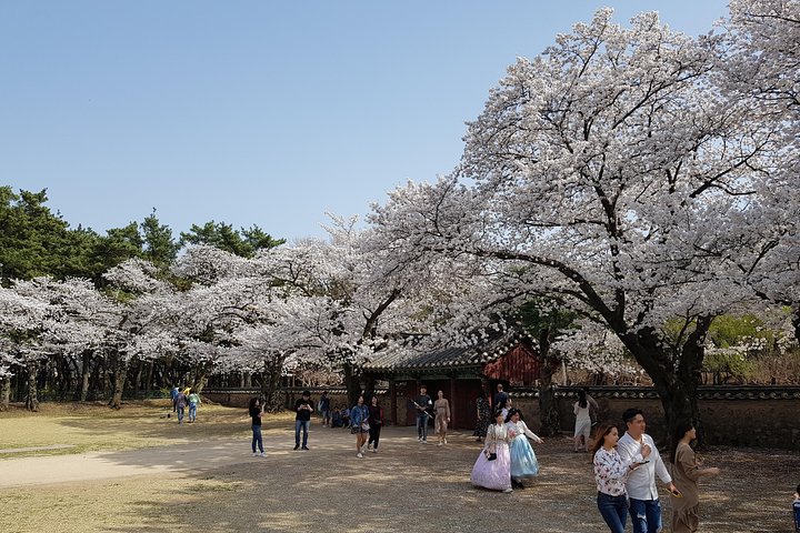 2 Days Gyeongju Private Tour from Seoul and Near Seoul - Image 4