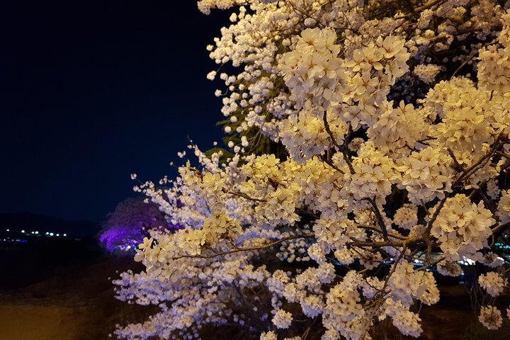 2 Days Gyeongju Private Tour from Seoul and Near Seoul - Image 5