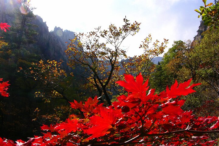 2-days: Mt Seorak, East Sea(Naksansa) & Nami or Ulsanbawi Hiking - Image 1