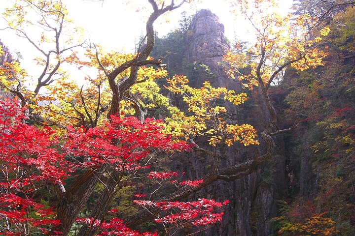 2-days: Mt Seorak, East Sea(Naksansa) & Nami or Ulsanbawi Hiking - Image 2
