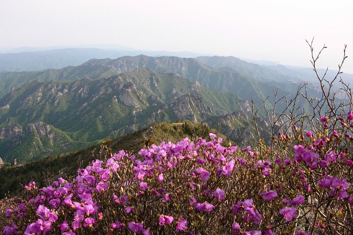 2 days Private Tour : Mt Seorak & Naksansa Temple & Nami Island 'from Seoul'  - Image 1
