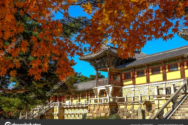 Active Seniors Korea Tour 11Days 10Nights - Image 4