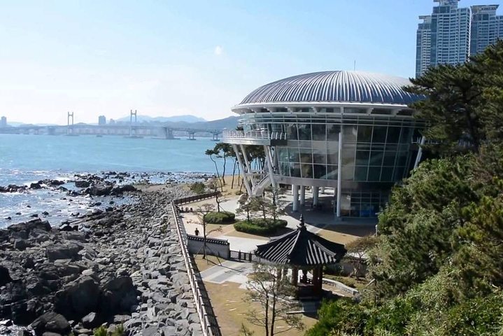 Active Seniors Korea Tour 11Days 10Nights - Image 3
