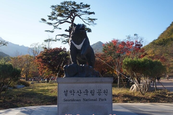 Korea at a Glance 5days 4nights - Image 5