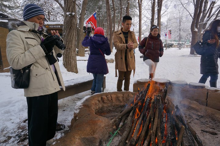  Private Tour Nami Island with Petite France 'and/or' The Garden of Morning Calm - Image 4