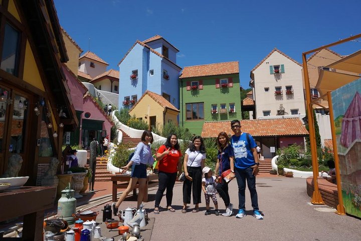  Private Tour Nami Island with Petite France 'and/or' The Garden of Morning Calm - Image 5