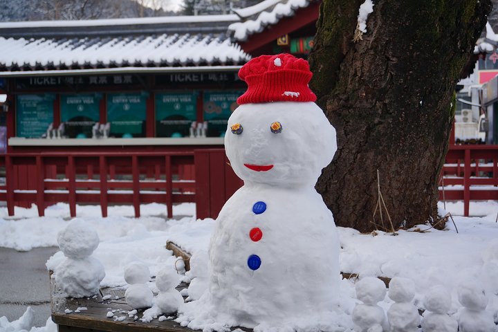  Private Tour Nami Island with Petite France 'and/or' The Garden of Morning Calm - Image 2