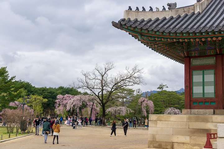 Seoul City Tour - Free Photo Service  - Image 3