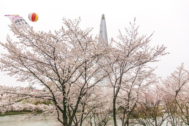 Seoul City Tour - Free Photo Service  - Image 4