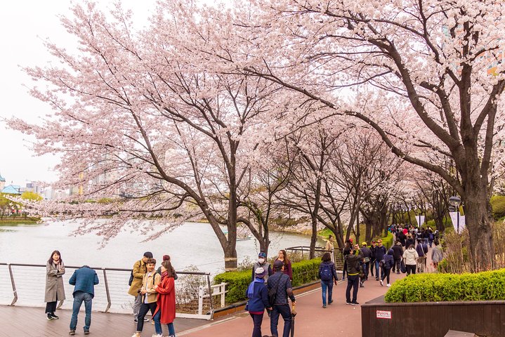 Seoul City Tour - Free Photo Service  - Image 5