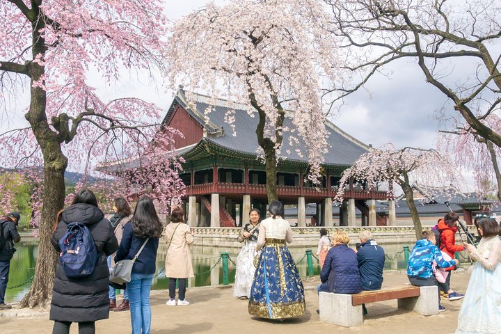 Seoul City Tour - Free Photo Service  - Image 2