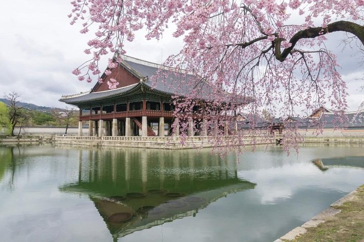Seoul City Tour - Free Photo Service  - Image 1