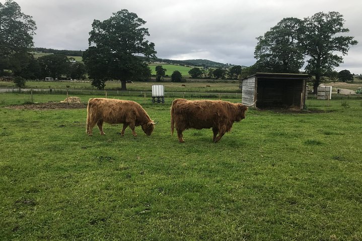 Culloden Battlefield, Clava Cairns and Loch Ness, Urquhart Castle - Image 3