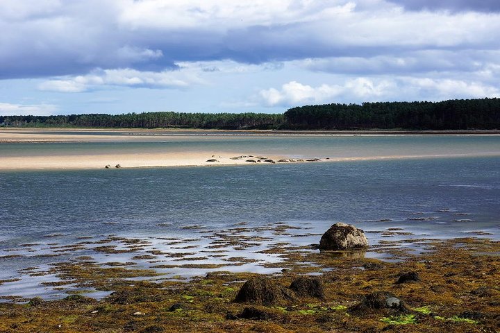 Stunning Ross and Sutherland Tour including Castles,Nature,Fantastic Scenery - Image 2