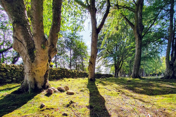The Quieter side of Loch Ness - Image 4