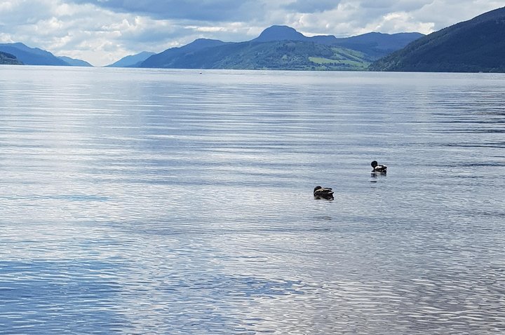 The Quieter side of Loch Ness - Image 3