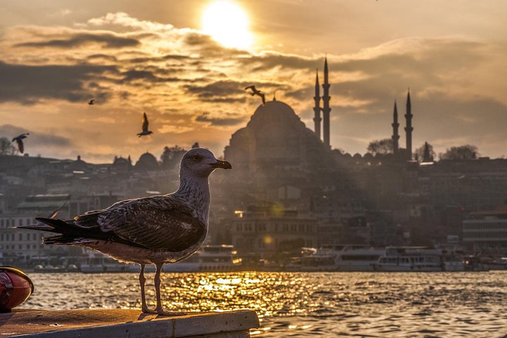 11 Days Special Turkey Tour - Image 3