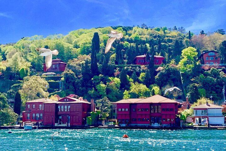2-Days. 1. Istanbul Luxury Bosporus Tour / 2. Ethical Shopping Tour in Istanbul. - Image 4