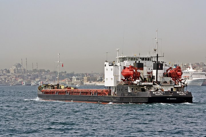 Bosphorus Cruise, Dolmabahçe Palace and 2 Continents - Image 1
