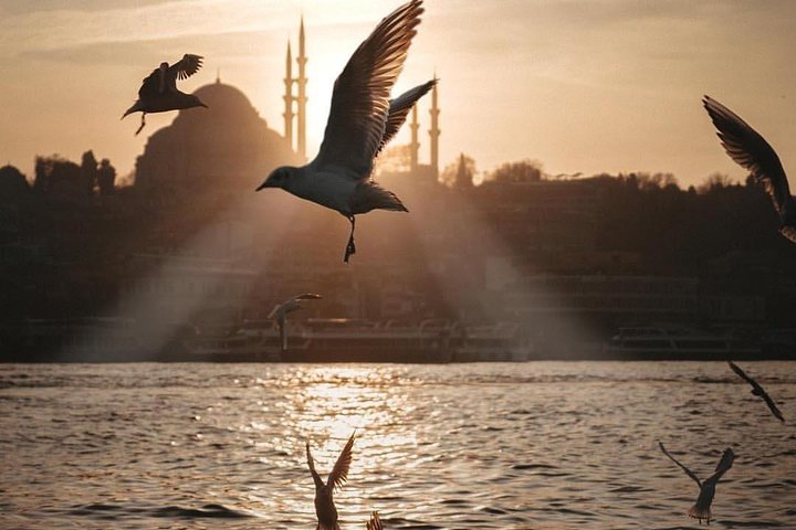 Bosphorus Dinner Cruise Istanbul - Image 5
