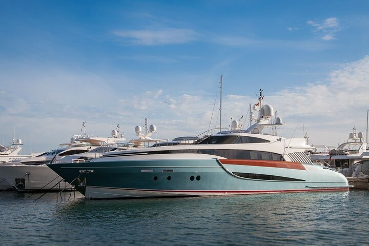 Bosphorus Half-Day Private Yacht Tour - Image 1