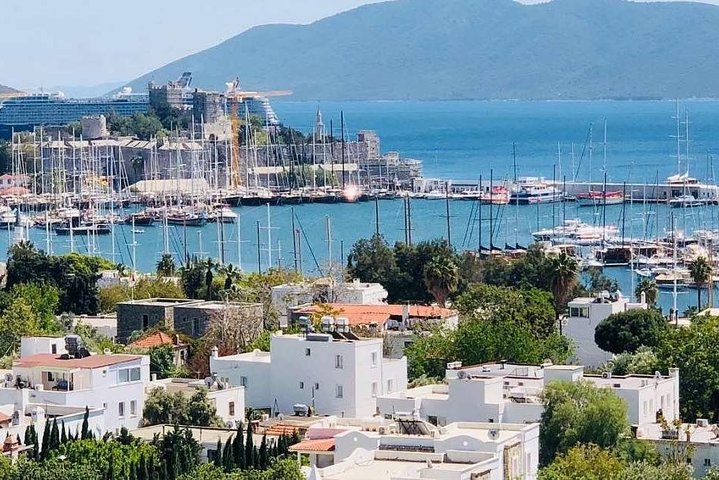 Combined Ephesus and Istanbul City Private Shore Excursions - Image 3