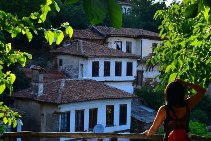Combined Ephesus and Istanbul City Private Shore Excursions - Image 2