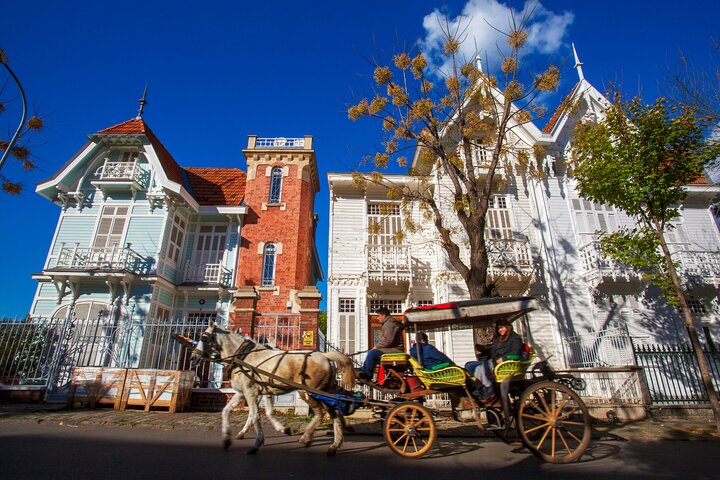 Cruise to the Princes' Islands - Image 2