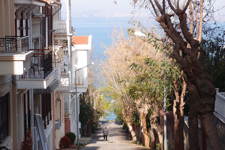 Daily Private Princes' Island Tour in Istanbul - Image 5