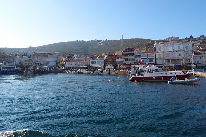 Daily Private Princes' Island Tour in Istanbul - Image 3