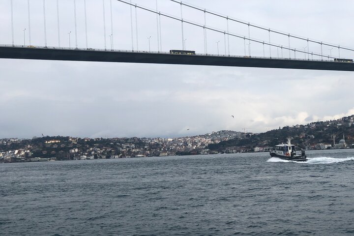 Full Day Istanbul Bosphorus Cruise and Dolmabahce Palace Tour  - Image 5