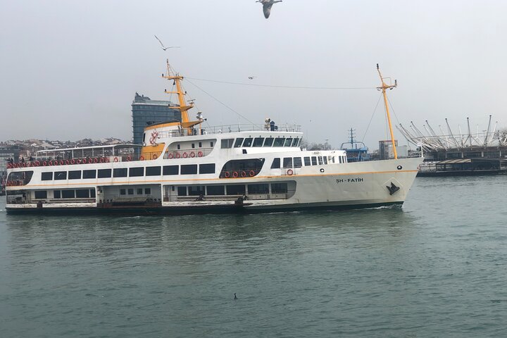 Full Day Istanbul Bosphorus Cruise and Dolmabahce Palace Tour  - Image 2