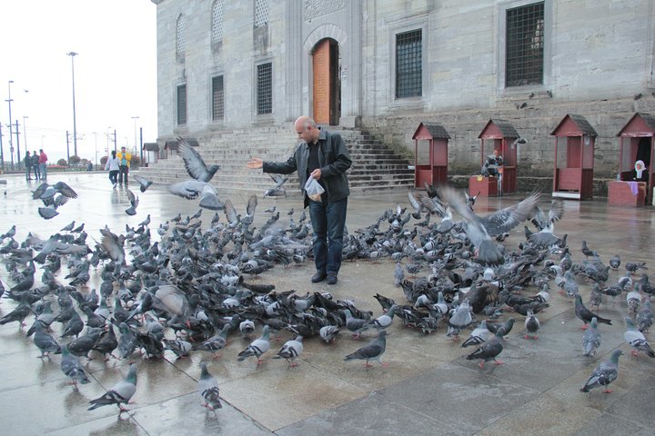 Full Day Istanbul Old City & Bosphorus Cruise Tour incl Lunch & Tickets - Image 5