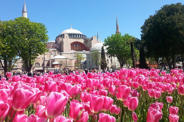 Highlights of Istanbul Private Tour: 1 Day, 2 Day or 3 Day Private Tour - Image 5