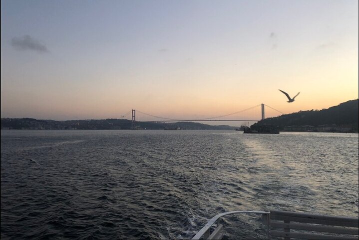 İstanbul 3 Hours Boat Cruise "Europe and Asia Together" - Image 4