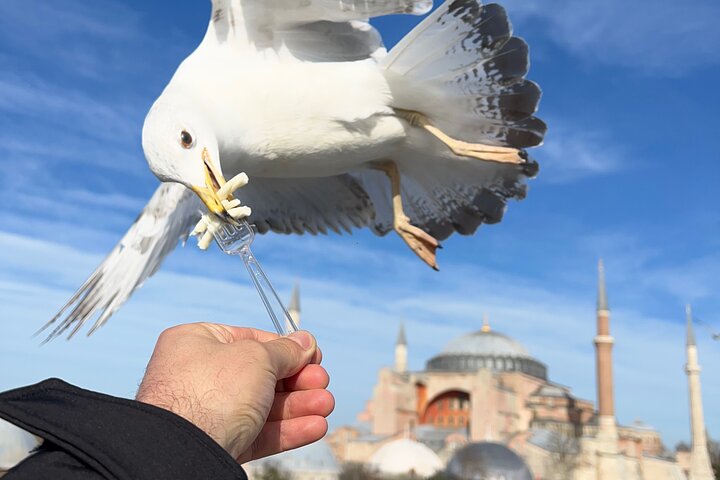 ISTANBUL BEST Private Guided FullDay City Tour (CRUISEPORT-HOTEL) - Image 1