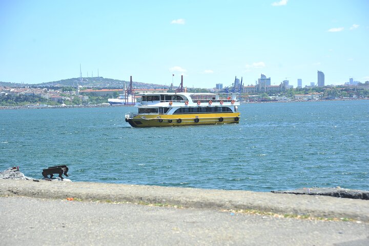 Istanbul: Bosphorus and Golden Horn Cruise with Audio Guide - Image 5