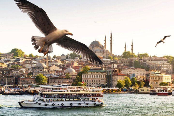 Istanbul Bosphorus Cruise Morning Tour With Golden Horn & Rumeli Fortress - Image 1