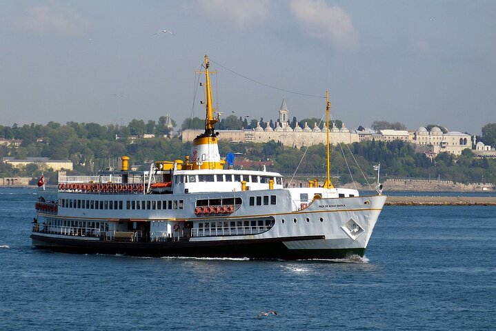 Istanbul City Tour with Dolmabahce Palace & Bosphorus Cruise - Image 5