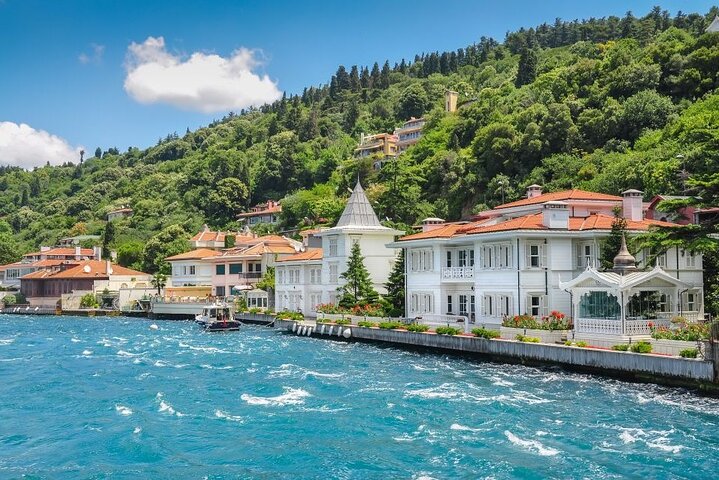 Istanbul City Tour with Dolmabahce Palace & Bosphorus Cruise - Image 4