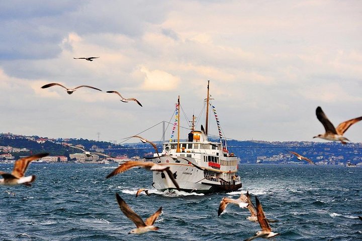 Istanbul Classics and Bosphorus Cruise Private Tour - Image 4