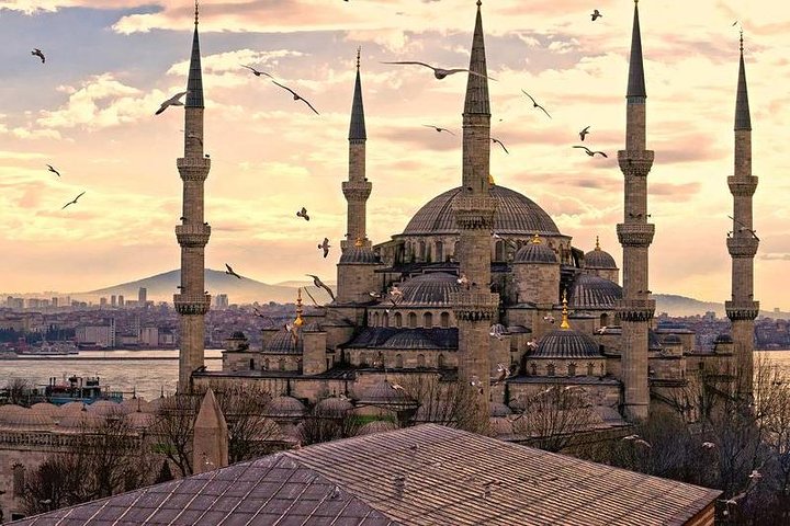 Istanbul Classics and Bosphorus Cruise Private Tour - Image 3