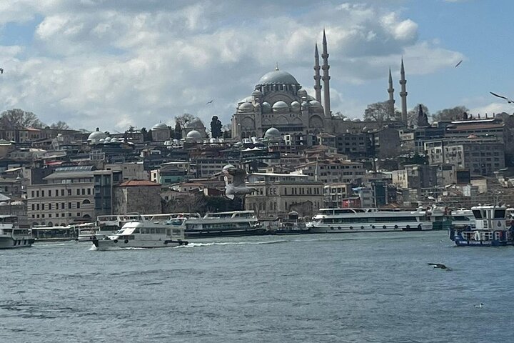 Istanbul Half Day Private Tour with Guide - Image 5