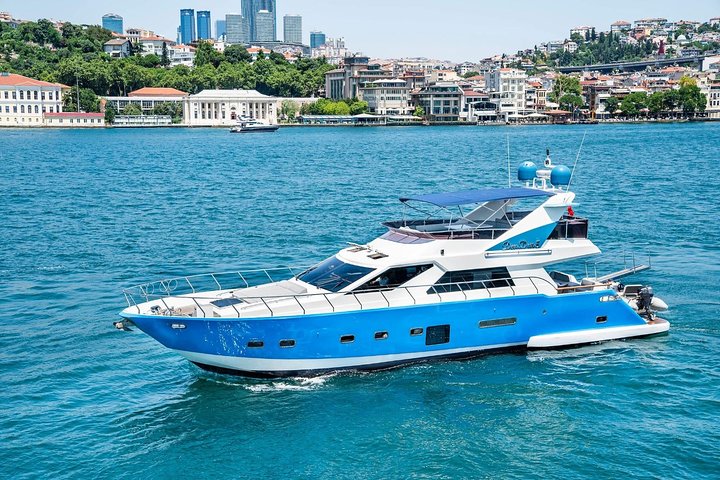 Istanbul Highlight Full-Day Tour with Cruise - Image 2
