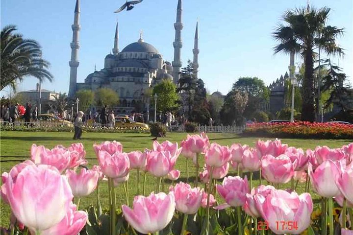 Istanbul Highlights Private Tour - Image 1