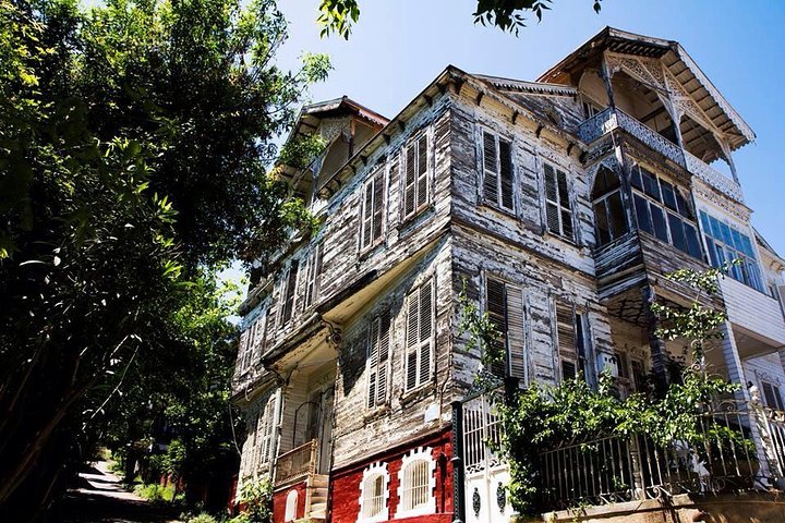 Istanbul Princes' Islands Tour with Private Guide - Image 1